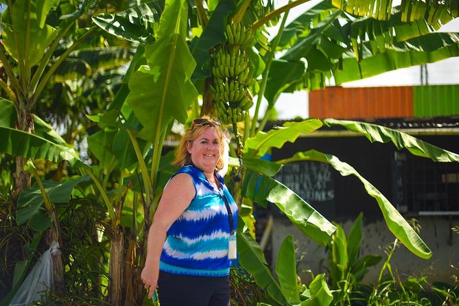 Sulphur Springs Mudbath & Botanical Gardens Tour - All Inclusive - Customer Experience