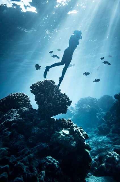 SUMBAWA WHALE SHARK TRIP - Location and Transportation