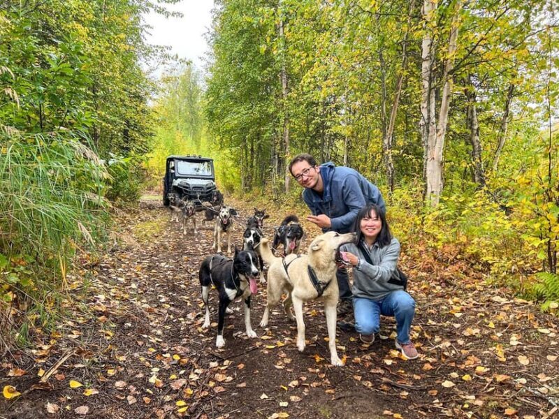 Summer Dog Sled Ride and Kennel Tour - Who Will Love This Tour?