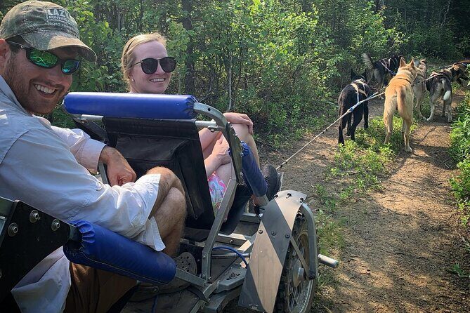 Summer Dog Sledding Adventure in Willow, Alaska - The Sum Up