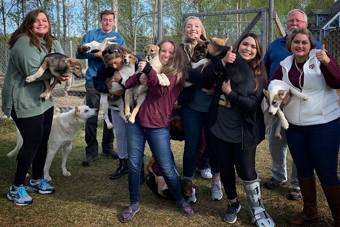Summer Dog Sledding Adventure in Willow, Alaska - Accessibility Features
