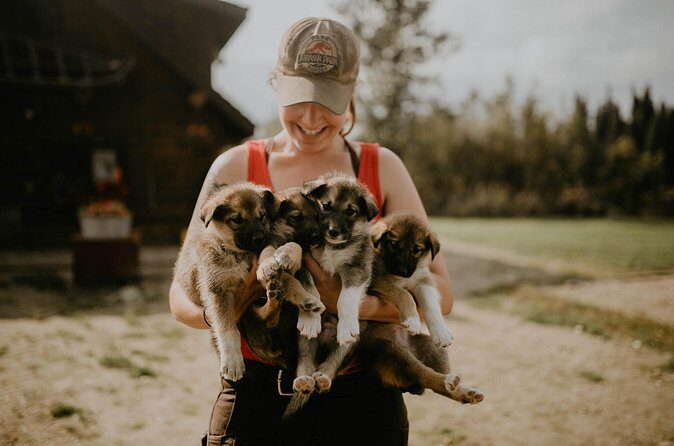 Summer Kennel Visit at Historic Trail Breaker Kennel - Who Should Consider This Tour?