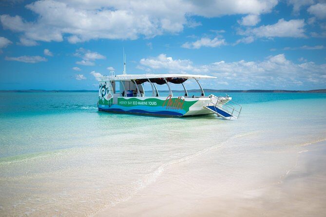 SUMMER K'gari (Fraser Island) Boom-net & Sightseeing Cruise - Final Thoughts: Who Will Love This Tour?