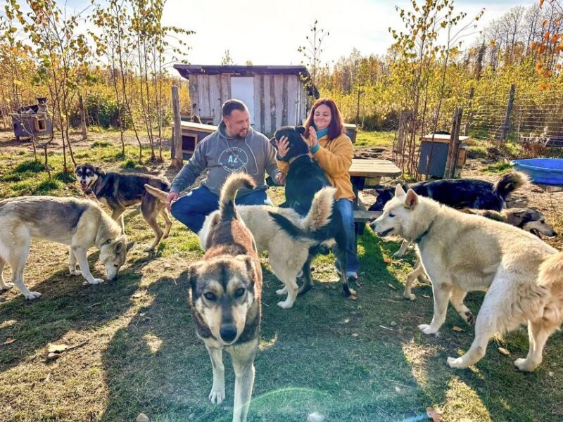 Summer Sled Dog Kennel Tour - A Closer Look at the Summer Sled Dog Kennel Tour