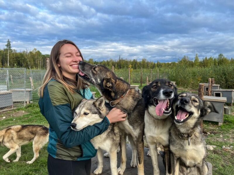 Summer Sled Dog Kennel Tour - FAQ