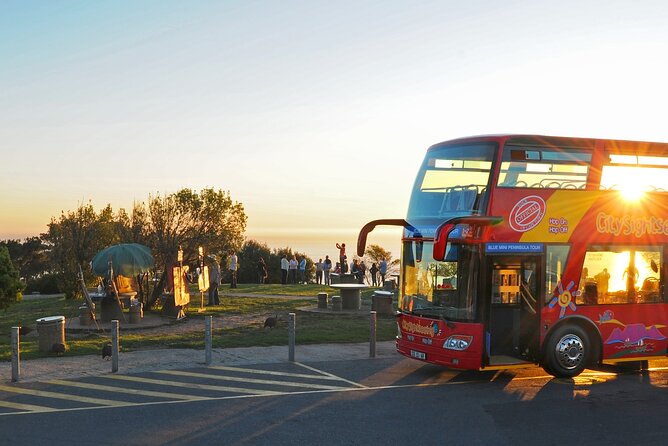 Summer Sunset Bus Tour in Cape Town - Unique Tour Features