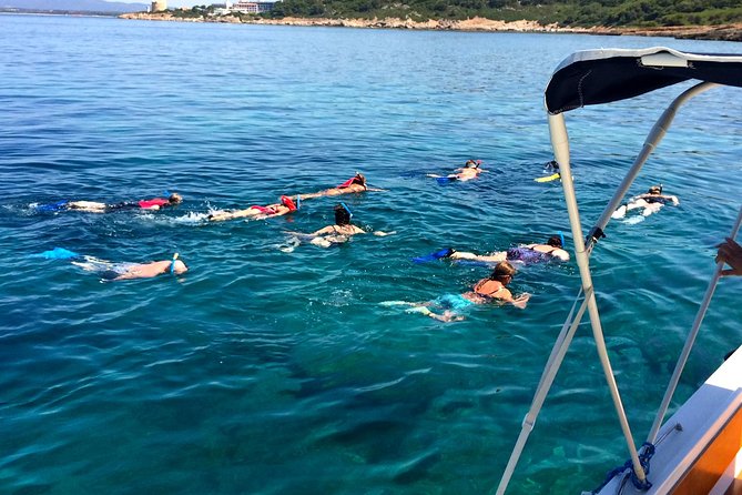 Summer Tour: Dolphin Watching and Guided Snorkeling - Meeting and Pickup Details