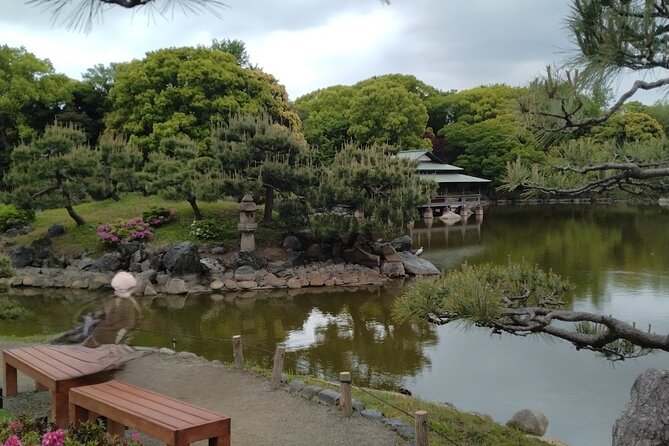 Sumo Practice Watching and Japan's Beautiful Culture and History - Discovering the Enchanting Kiyosumi-shirakawa Neighborhood
