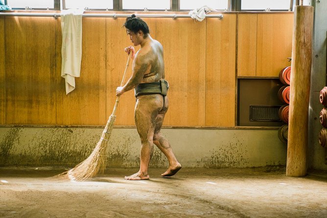 Sumo Training Session - Feedback and Reviews