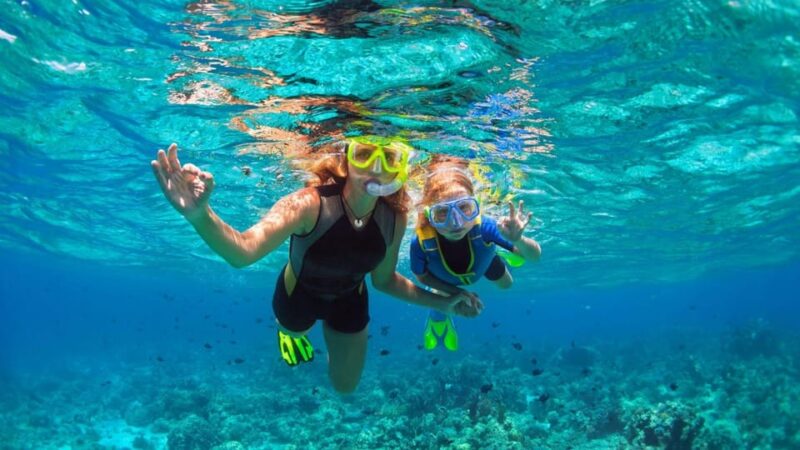 Sun and Sea Retreat: Full-Day Tour With Swimming and Lunch - Nečujam: Discover Underwater Life