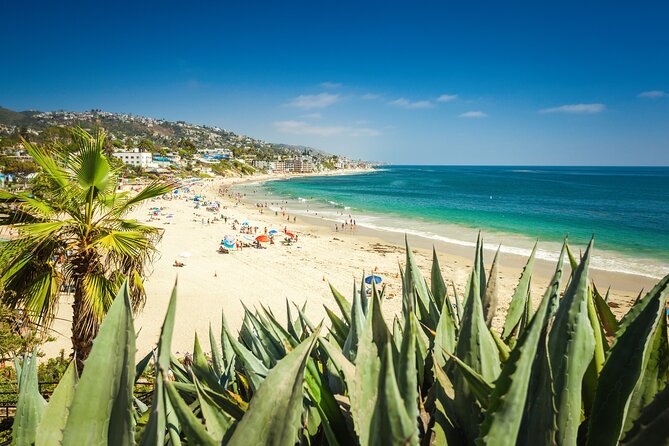 Sun, Art, and Sands in Laguna Beach Family Adventure - Logistical Details and Tour Highlights