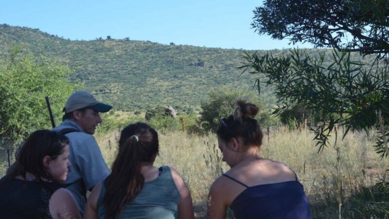 Sun City: Pilanesberg National Park Bush Walk - Learning From the Expert Guide