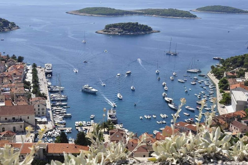 Sun-Kissed Hvar: A Private Walking Guided Tour - An In-Depth Look at the Tour