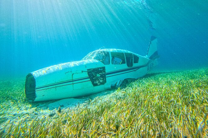 Suncay SNUBA Diving Adventure With Lunch - Highlights of the Experience