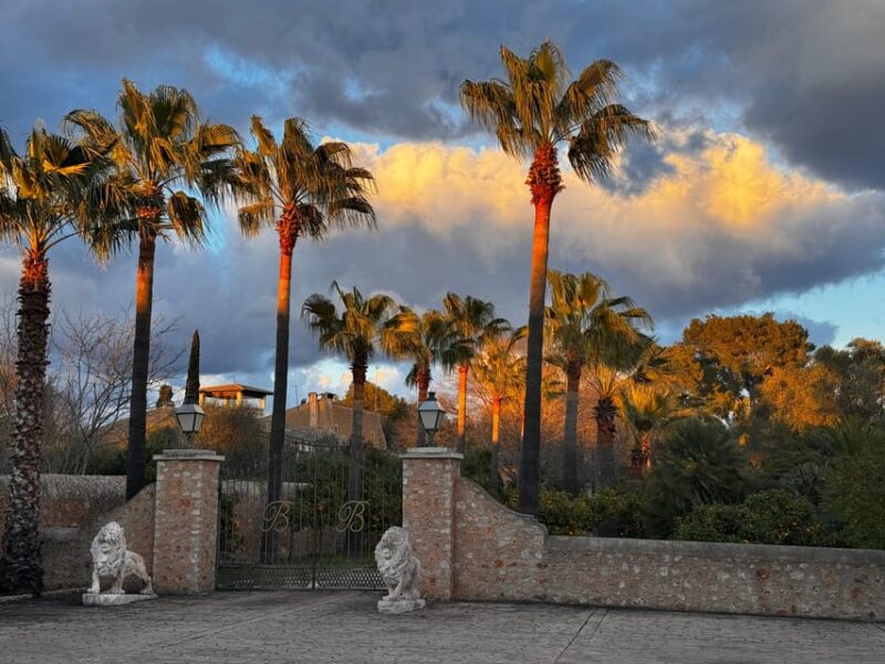 Sunday of the Wine on Mallorca - Key Points