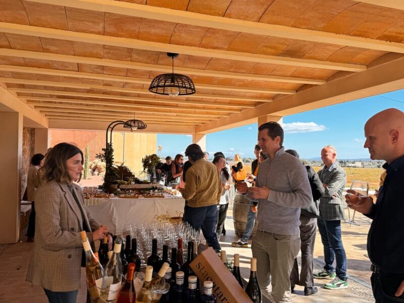 Sunday of the Wine on Mallorca - Highlights of the Experience