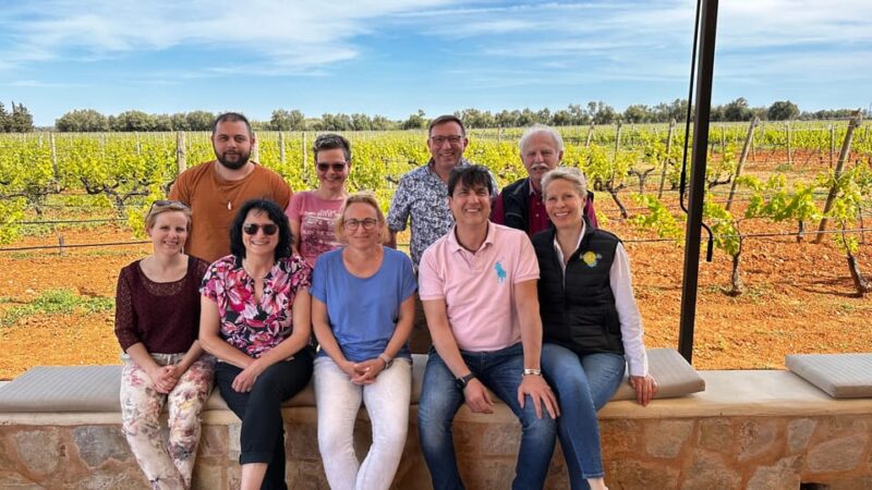 Sunday of the Wine on Mallorca - Explore the Wineries