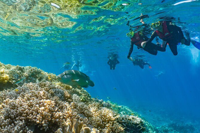 Sunlover Reef Cruises Cairns Great Barrier Reef Experience - The Return Journey and Overall Comfort