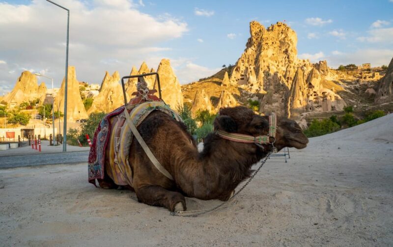 Sunrise and Sunset Camel Ride with Stunning Cappadocia Views - The Sum Up
