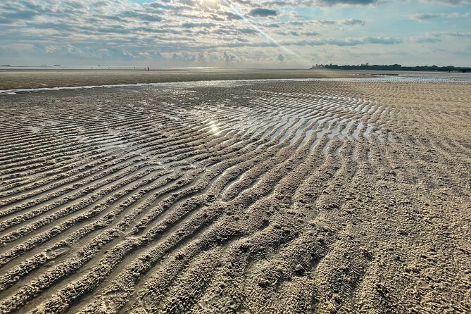 Sunrise Beach Walk With Picnic Breakfast Activity - Family-Friendly Amenities