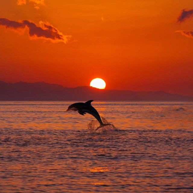 Sunrise Coastline Boat Tour & Dolphin Watching - Cancellation Policy