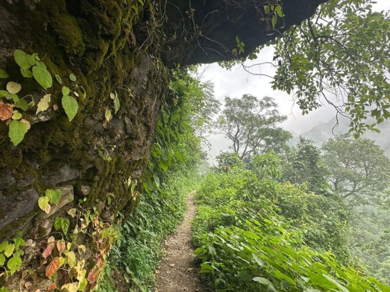 Sunrise Day Hike in Rishikesh - Highlights of the Trek