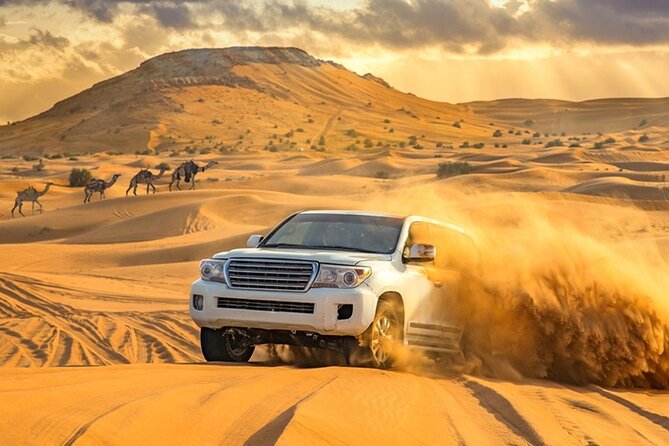 Sunrise Early Morning Desert Safari With Refreshments - Stunning Sunrise Views