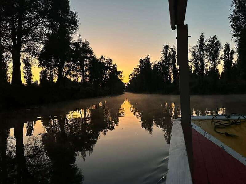 Sunrise in Xochimilco - Why This Tour Offers Great Value