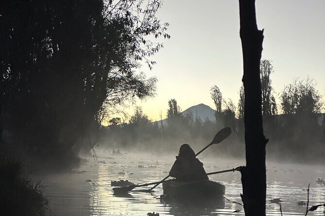 Sunrise Kayak Tour in Xochimilco - The Experience in Practice