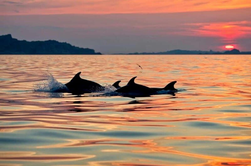 Sunrise Kayak Tour with Snorkeling and Coffee Experience - Authentic Feedback from Participants