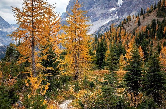 Sunrise Moraine Lake and Lake Louise Adventure - Authentic Experiences and Tips