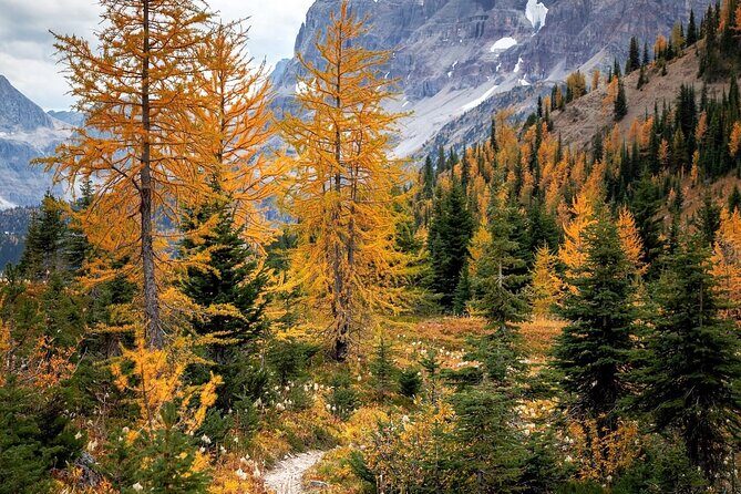 Sunrise Moraine Lake and Lake Louise Adventure - The Sum Up