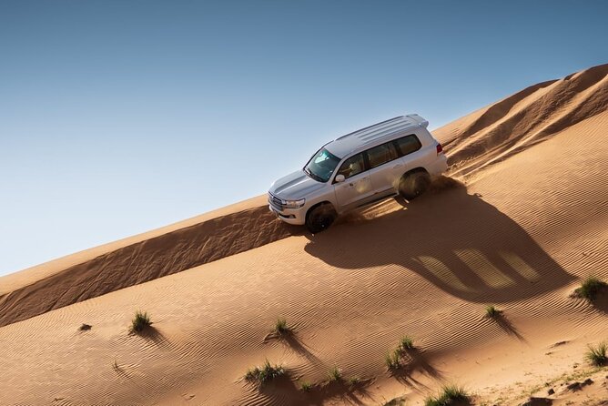 Sunrise/Morning Dune Drive With Camel Trek & Sand Surfing - Dune Bashing Adventure