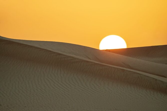 Sunrise/Morning Dune Drive With Camel Trek & Sand Surfing - Camel Trekking Experience