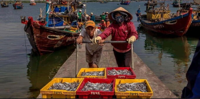 Sunrise on the Hoai River Tour in Hoi An - Inclusions and Amenities