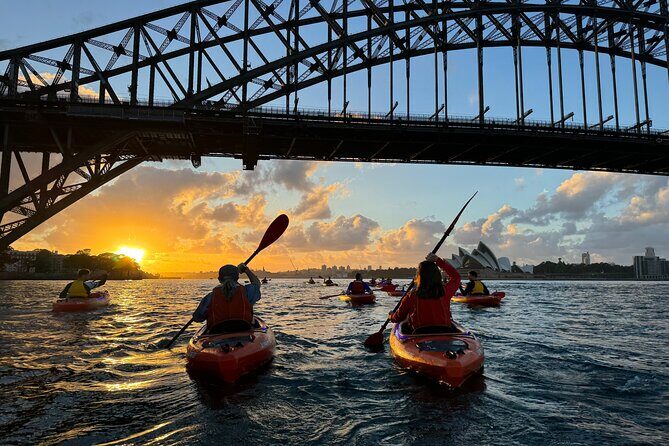 Sunrise Paddle Session on Syndey Harbour (single kayak) - Key Points  