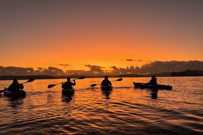 Sunrise Paddle Session on Syndey Harbour (single kayak) - FAQ: Practical Questions for Future Kayakers  
