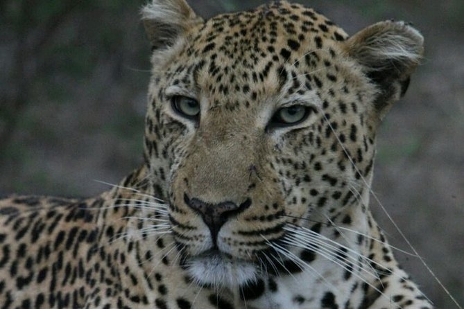 Sunrise Safari - Kruger National Park Location
