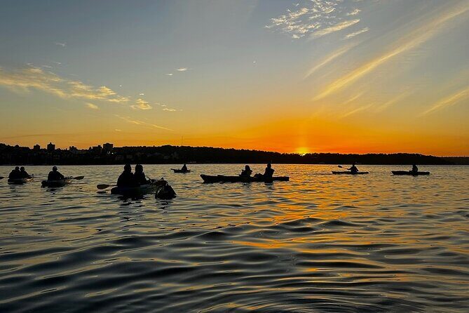 Sunrise Serenity Kayak Tour of Sydney Harbour - Who Will Enjoy This Tour?