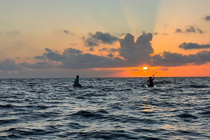 Sunrise Stand Up Paddle activity on a privileged beach. - An In-Depth Look at the Sunrise SUP Experience