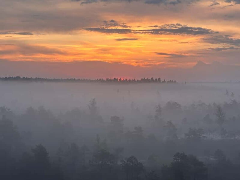 Sunrise Tour To Great Kemeri Bog - Discover the Magic of the Sunrise Tour to Great Kemeri Bog