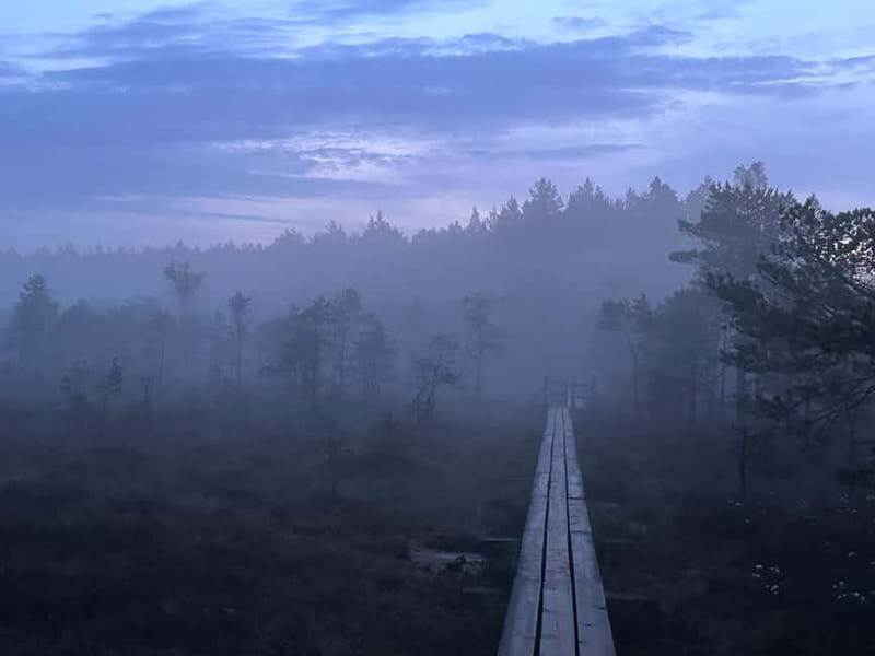 Sunrise Tour To Great Kemeri Bog - The Sum Up