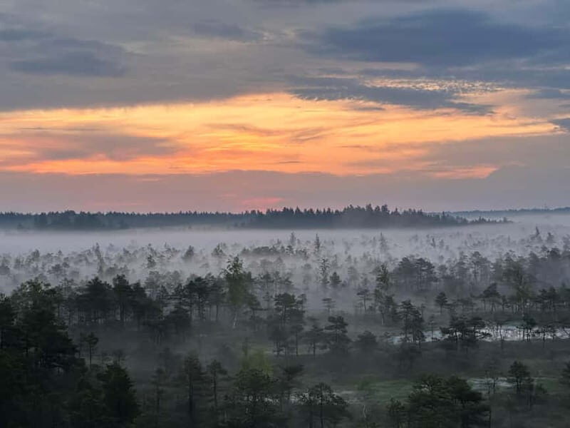 Sunrise Tour To Great Kemeri Bog - FAQ