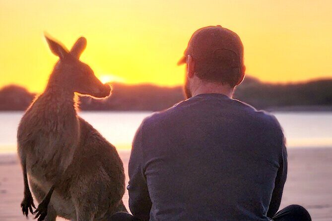 Sunrise with the kangaroos and wallabies - Practical Details That Matter