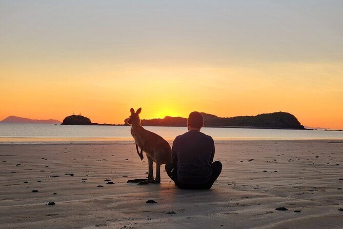 Sunrise with the kangaroos and wallabies - Who Will Love This Tour?