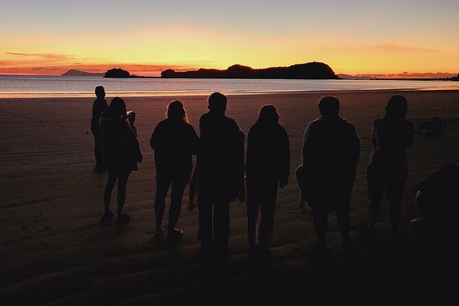 Sunrise with the kangaroos and wallabies - The Sum Up: Is It Worth It?