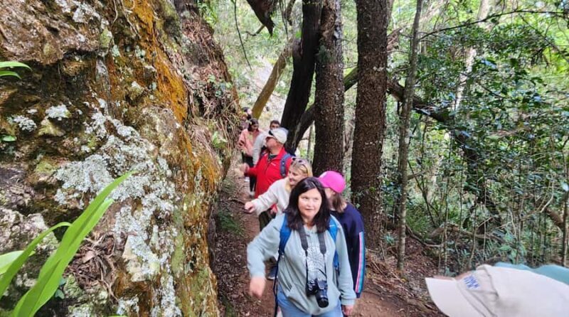 Sunrise with the Kangaroos & Wallabies - Airlie Beach - The Sum Up: Who Will Love This Tour?