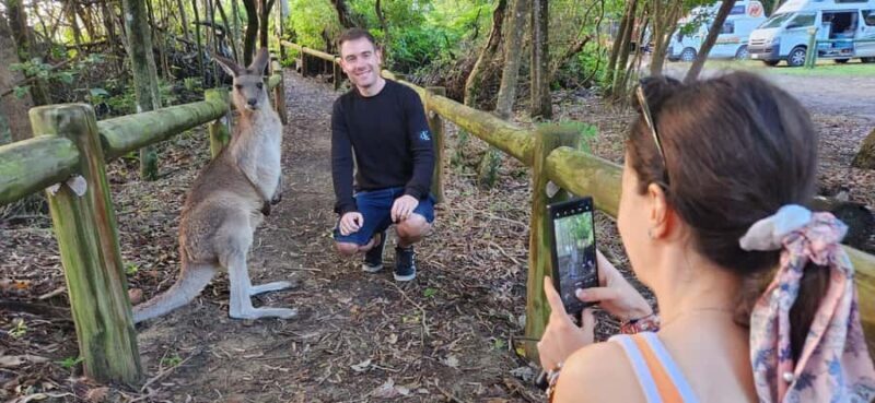 Sunrise with the Kangaroos & Wallabies - Airlie Beach - FAQ