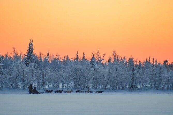 Sunrise Zen Husky Tour (10:00 to 13:00 - sitting on the sled) - Who Would Enjoy This Tour?