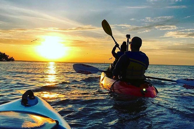 Sunset and Evening With Glowing Plankton With Cat Ba Local Adventure - Marveling at the Natural Wonders